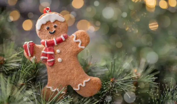 Gingerbread cookie on a fir tree.