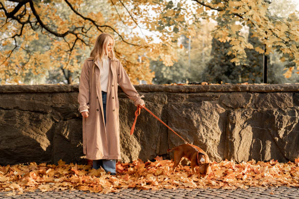 istock Walk with the dog in autumn 1346490082