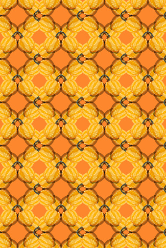Seamless pattern with pumpkin on an orange  background