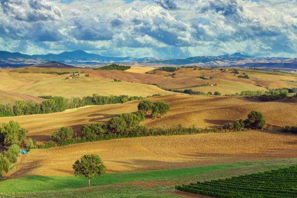 istock Hills in Tuscany 1346493754