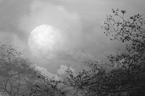 Full moon with dark cloudscapes on the night. Halloween concept