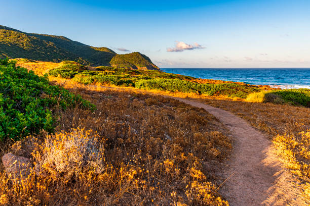 sunrise on the Corsican coast
