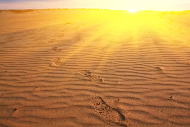 istock people footprints on a sand in a rays of rising sun 1346496388