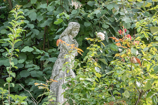 Statue of a woman surrounded by flowers in botanical garden. Over time, green moss has formed on the statue.