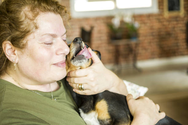 istock Women resting with her dog 1346498006