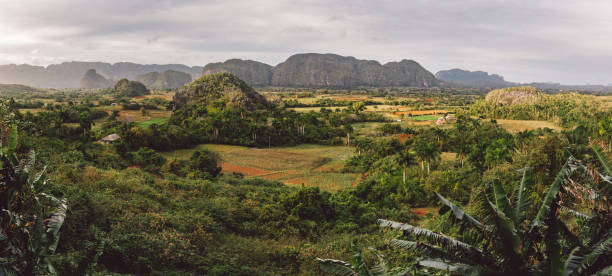 istock Scenic View Of Landscape Against Sky 1346502876