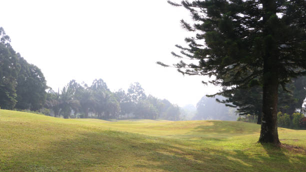 istock Beautiful Scene Of Golf Course 1346503760