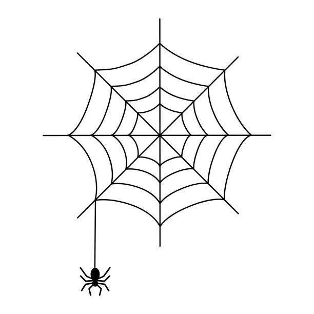 außenillustration spinnennetz - spinnennetz stock-grafiken, -clipart, -cartoons und -symbole
