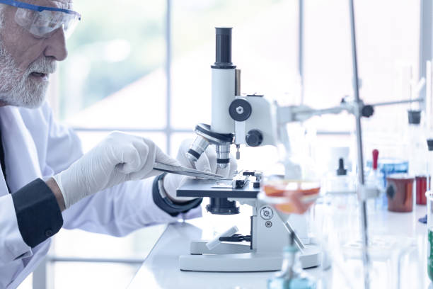 istock Senior scientist working with microscope in science laboratory, Searching for germs, viruses, disease, research and development, Scientific and medical 1346507028