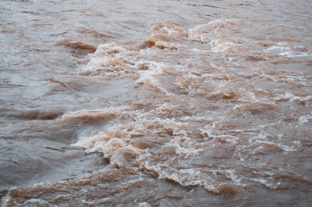 istock Fast flowing cold water mountain stream, flowing stormy stream stream, nature outdoors, fresh stream dark blue water 1346510791