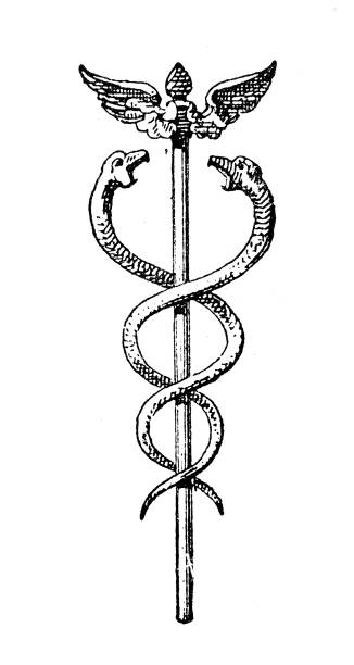 Antique illustration: Caduceus Antique illustration: Caduceus medical symbols stock illustrations