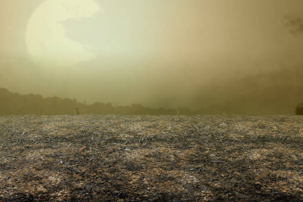 istock Close up view of ground 1346512614