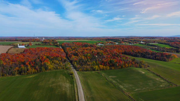istock Fall colors in the Canadian countryside 1346513601