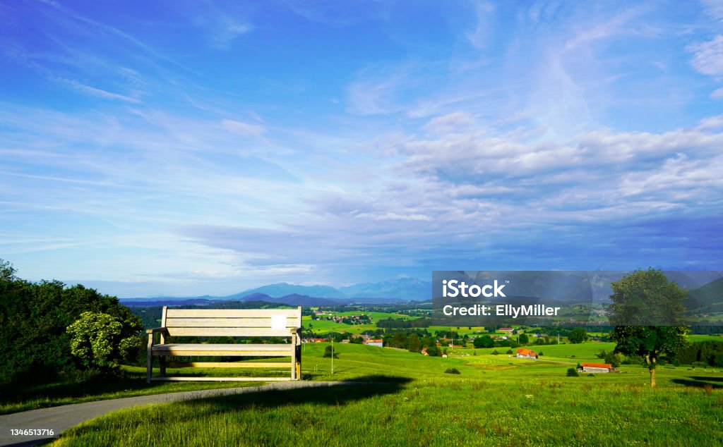 Panorama landscape in the Allgäu in Bavaria. Nature with mountains, meadows and forests. Giant bench near Mittelberg. Agricultural Field Stock Photo