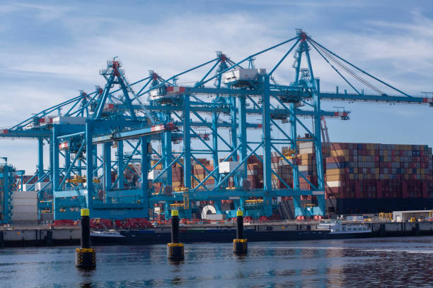 rotterdam, niederlande schiffscontainer werden im apm terminal in der neuen maasvlakte 2 im rotterdamer hafen bewegt. - harbor editorial industrial ship container ship stock-fotos und bilder