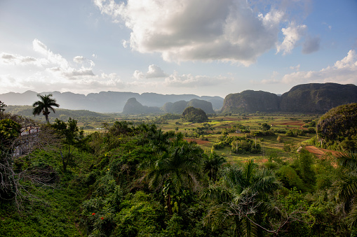 Panoramic view over landscape with mogotes in Vinales Valley ,Cuba