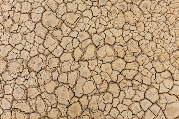 istock Brown dry soil or desert cracked ground texture background,land arid earth warming. 1346518257