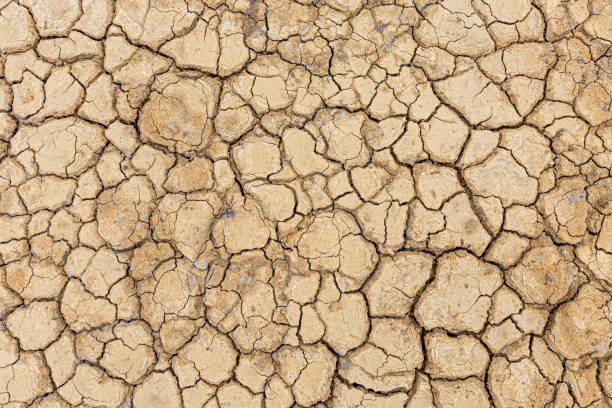 istock Brown dry soil or desert cracked ground texture background,land arid earth warming. 1346518410