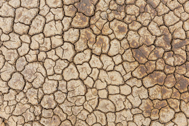 istock Brown dry soil or desert cracked ground texture background,land arid earth warming. 1346518638