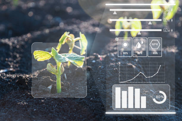 Smart farm technology for detection and control system of Plant sprout growing design infographics Smart farm technology for detection and control system of Plant sprout growing design infographics. Innovation technology for agriculture sensory impulse stock pictures, royalty-free photos & images