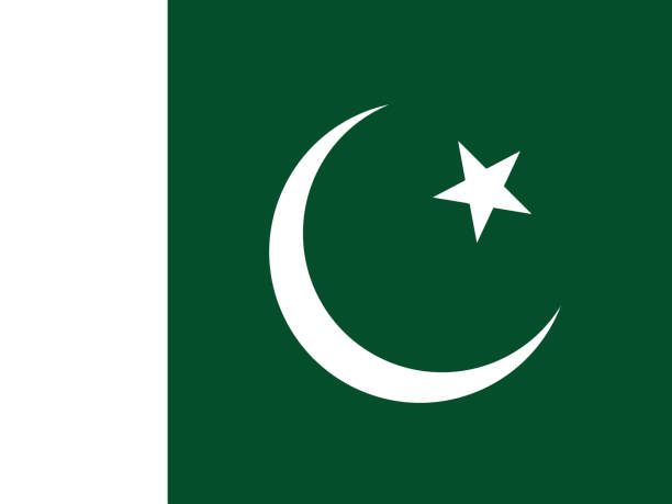 ilustrações de stock, clip art, desenhos animados e ícones de flag of the pakistan - bandeira do paquistão