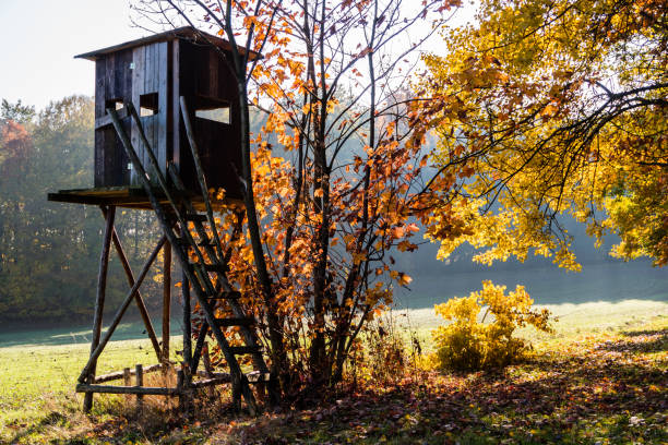 istock Hunters' high seat in an autumn forest 1346529951