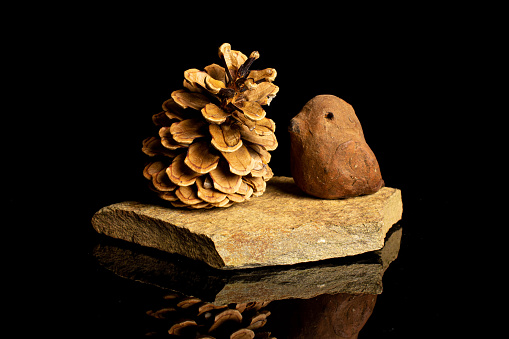 One whole beautiful pine cone with ceramic bird on flat rock isolated on black glass