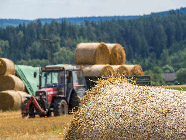 istock Straw harvest with tractor and straw bales in autumn 1346530264