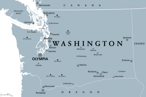 ilustrações de stock, clip art, desenhos animados e ícones de washington, wa, gray political map, us state, the evergreen state - victoria state