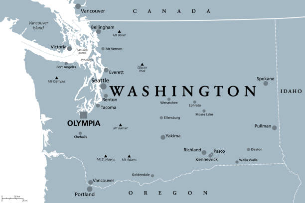 Washington, WA, gray political map, US state, The Evergreen State Washington, WA, gray political map, with capital Olympia. State in the Pacific Northwest region of the Western United States of America. State of Washington, with nickname The Evergreen State. Vector. mount st helens stock illustrations