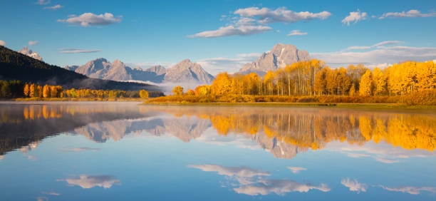 fall colors at oxbow bend grand tetons national park - reflection imagens e fotografias de stock