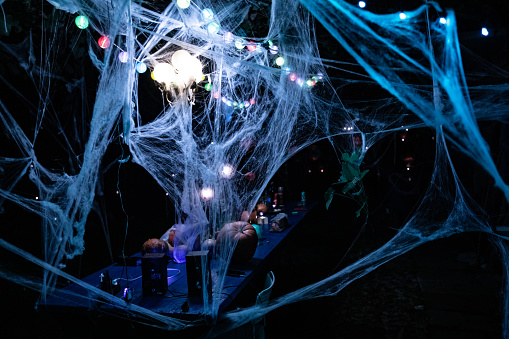 Tangled Halloween Spider Web Decorations Outdoors.
