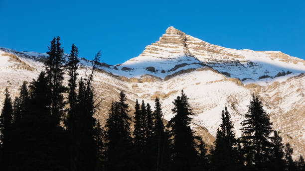 istock Mountain Landscape in Canada 1346539119