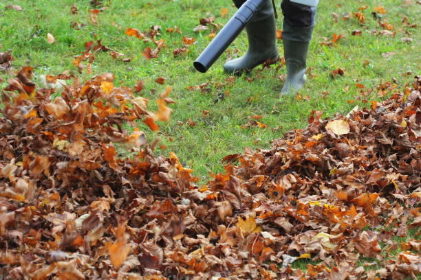 istock Worker cleaning falling leaves in autumn park. Man using leaf blower for cleaning autumn leaves. Autumn season. Park cleaning service. 1346539450