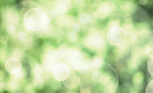 istock Abstract blurred green bokeh background. Natural soft colours. 1346539534