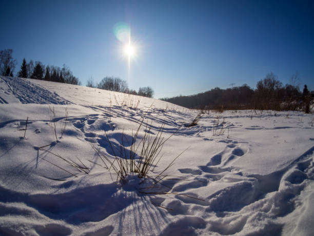 istock Blue sky with sun in a winter landscape 1346542130