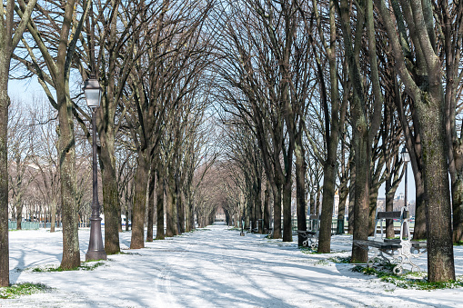 Tree alley in Paris, Esplanade des Invalides under snow. Unusual weather conditions in Paris. February 10, 2021.