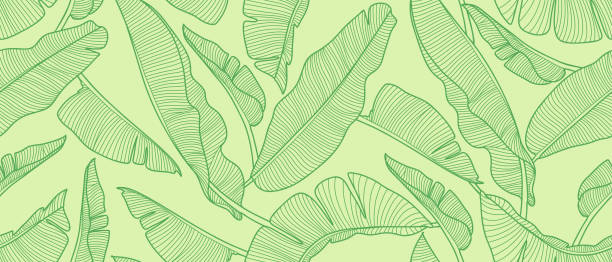 banana leaves pattern Seamless pattern with banana leaves in line art style. Vector monochrome background with tropican leaves. banana leaf stock illustrations