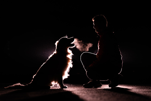 Night silhouette of a man and his dog. A young man strokes a golden retriever in the dark under the headlights.
