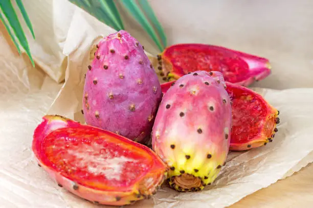 Bright exotic pink prickly pear cactus fruit or opuntia on light background.