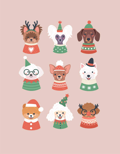 рождественская коллекция собак. - santa dog stock illustrations