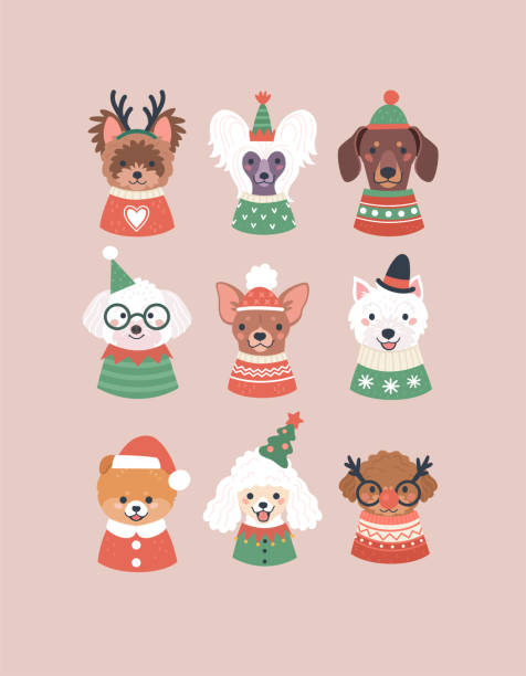Christmas collection of dogs. Vector illustration with cartoon portraits of cute dogs in cozy Christmas sweaters, costumes and funny hats. Isolated on background dog poodle pets cartoon stock illustrations