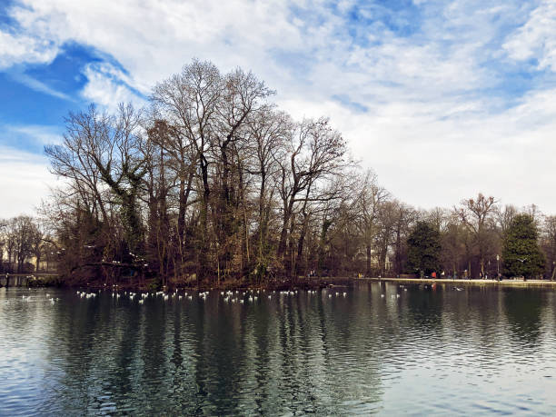 istock City lake tranquil panorama in Ducale park, Emilia Romagna, Parma, Italy 1346554090
