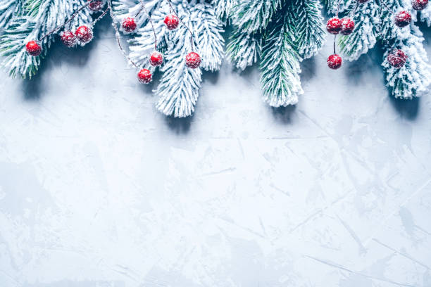 istock Christmas background of snow-covered branches with berries. 1346554918