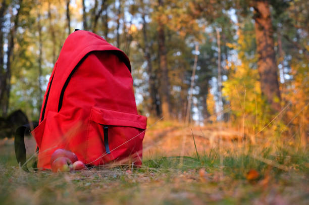istock Red backpack and thermo mug in the autumn forest 1346558714