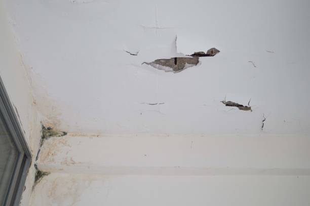 istock Crack cement ceiling wall surface structure from water, moist, humidity weather for home renovation construction concept 1346559575