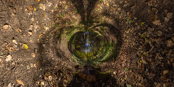 360 degree hyperbolic tunnel panorama projection of spherical panorama in sunny autumn day in pine forest with blue sky