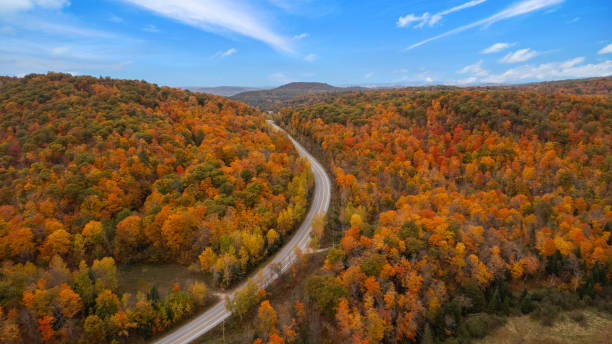 istock Aerial view of autumn colours 1346564587