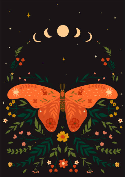 illustrations, cliparts, dessins animés et icônes de carte postale avec un papillon de nuit dans le style boho. graphiques vectoriels. - spring abstract insect dreams