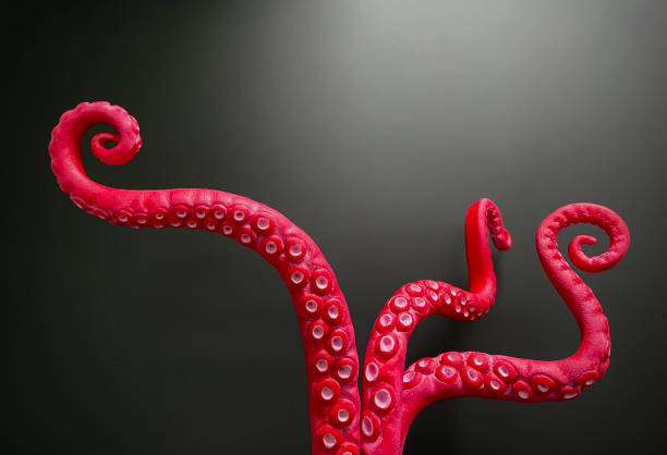 Pink tentacles Octopus red octopus tentacles suction cups mythology photos stock pictures, royalty-free photos & images
